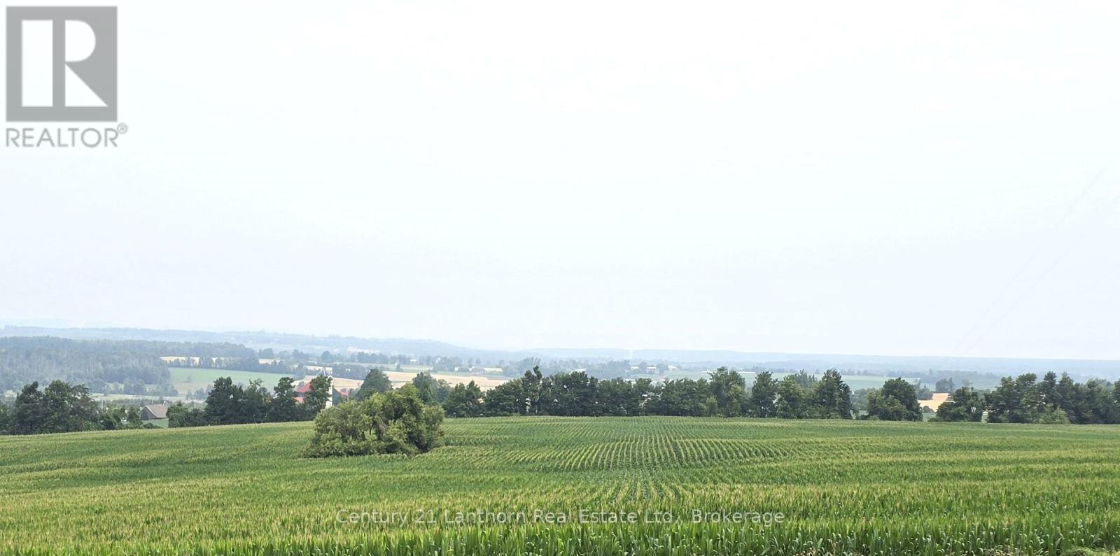 488297 30th Side Road Property Photo 6
