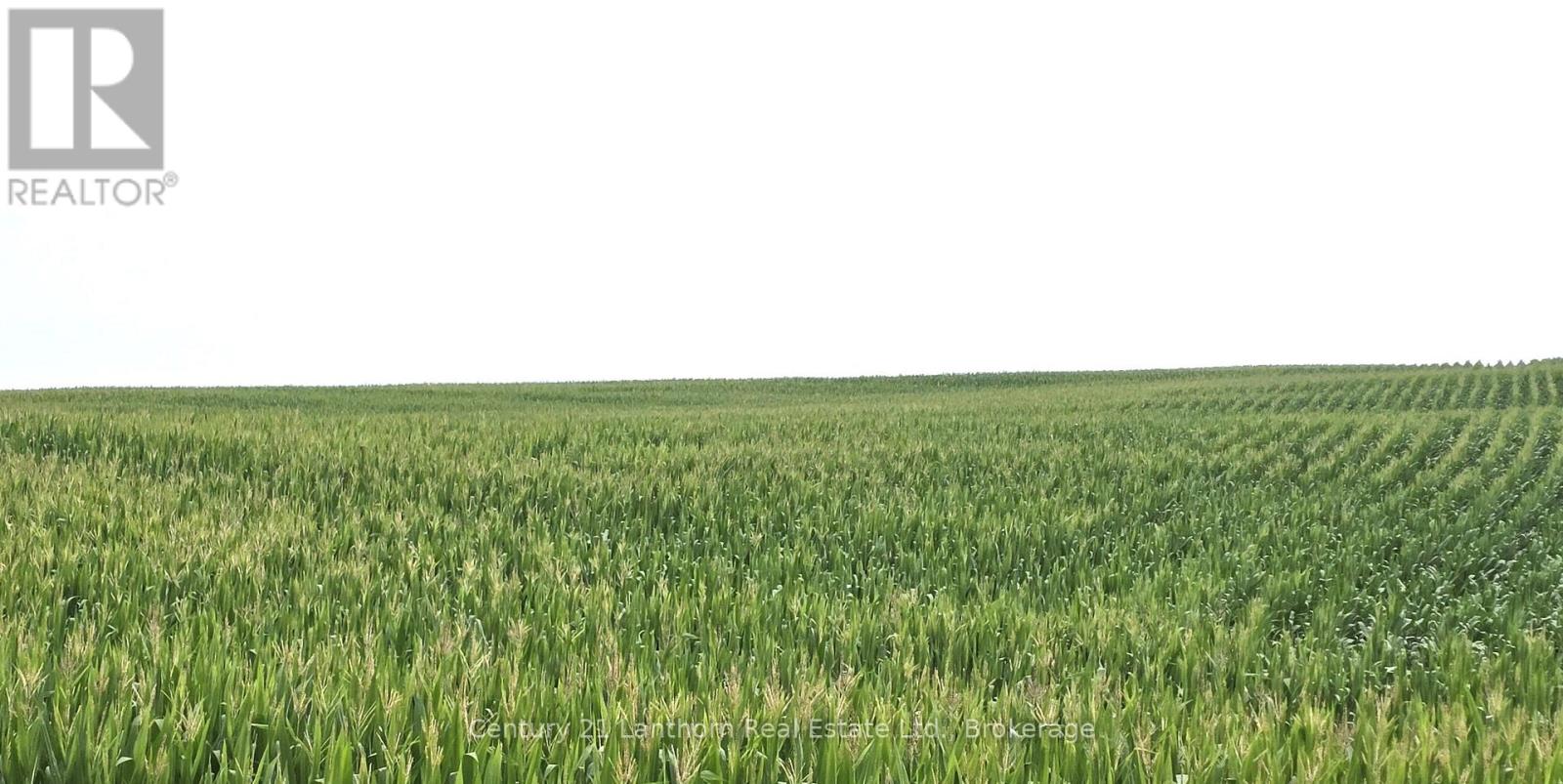 488297 30th Side Road Property Photo 7