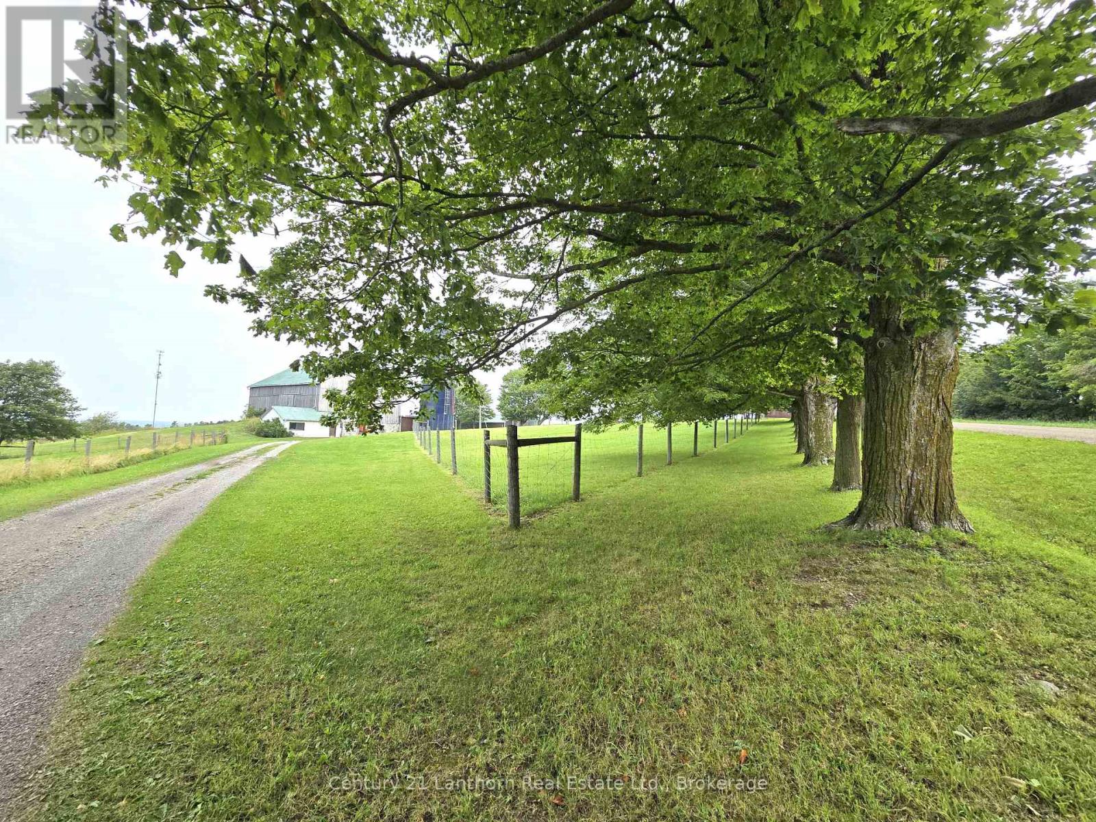 488297 30th Side Road Property Photo 49