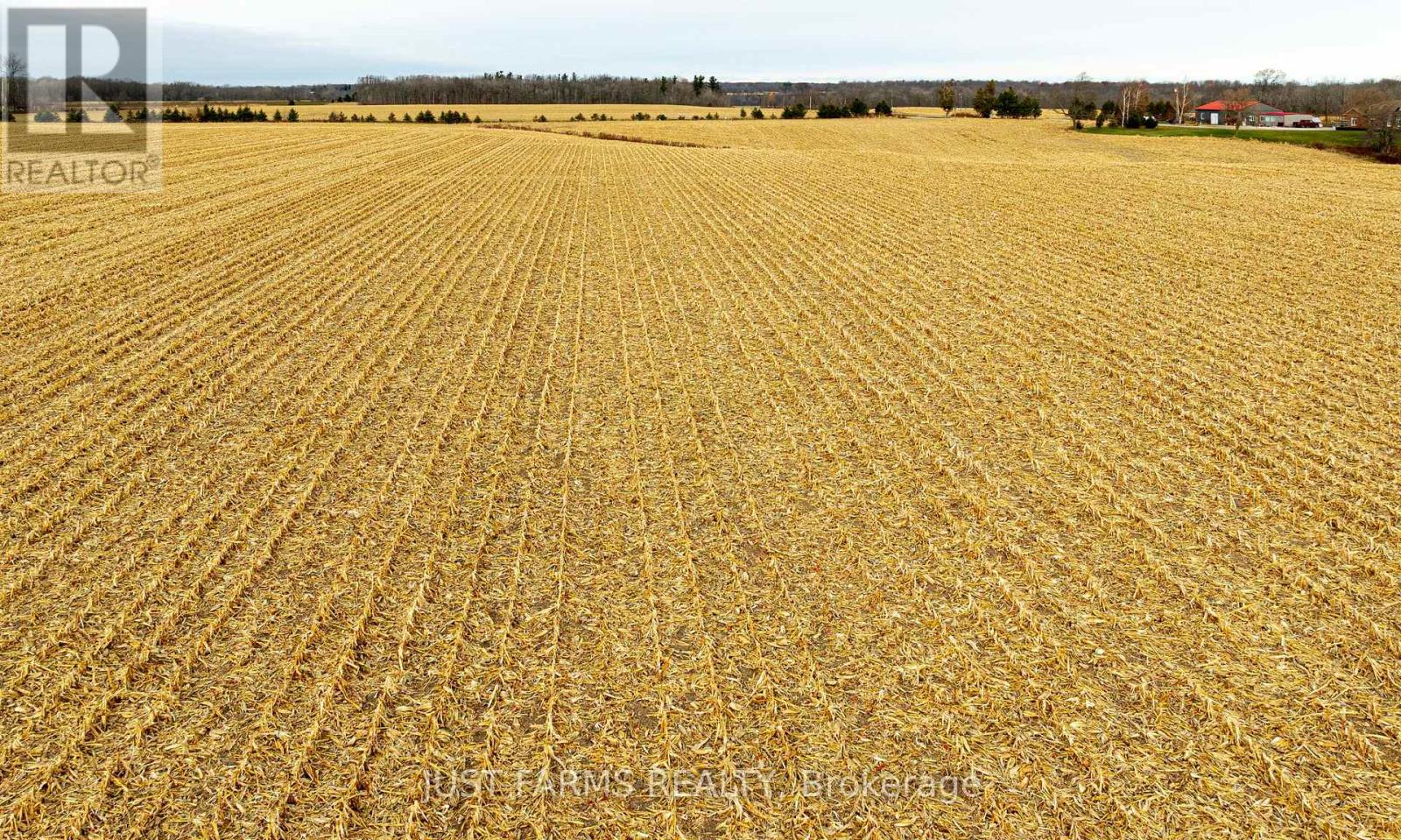 23849 Gibb Line Property Photo 7