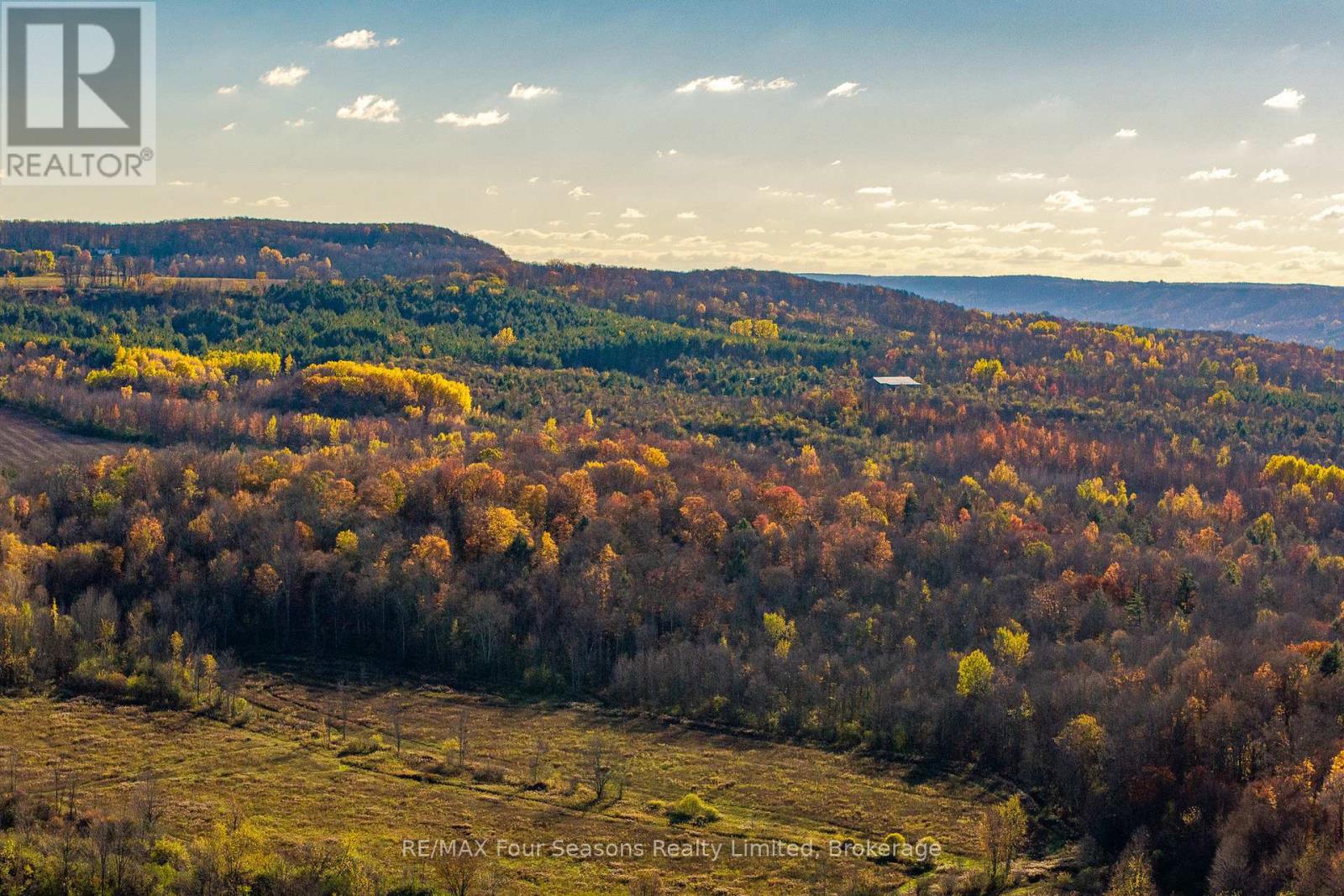 627174 119 Grey Road Property Photo 31