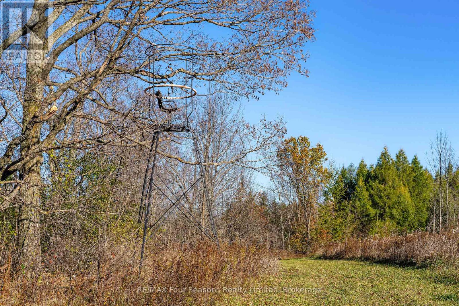 627174 119 Grey Road Property Photo 32