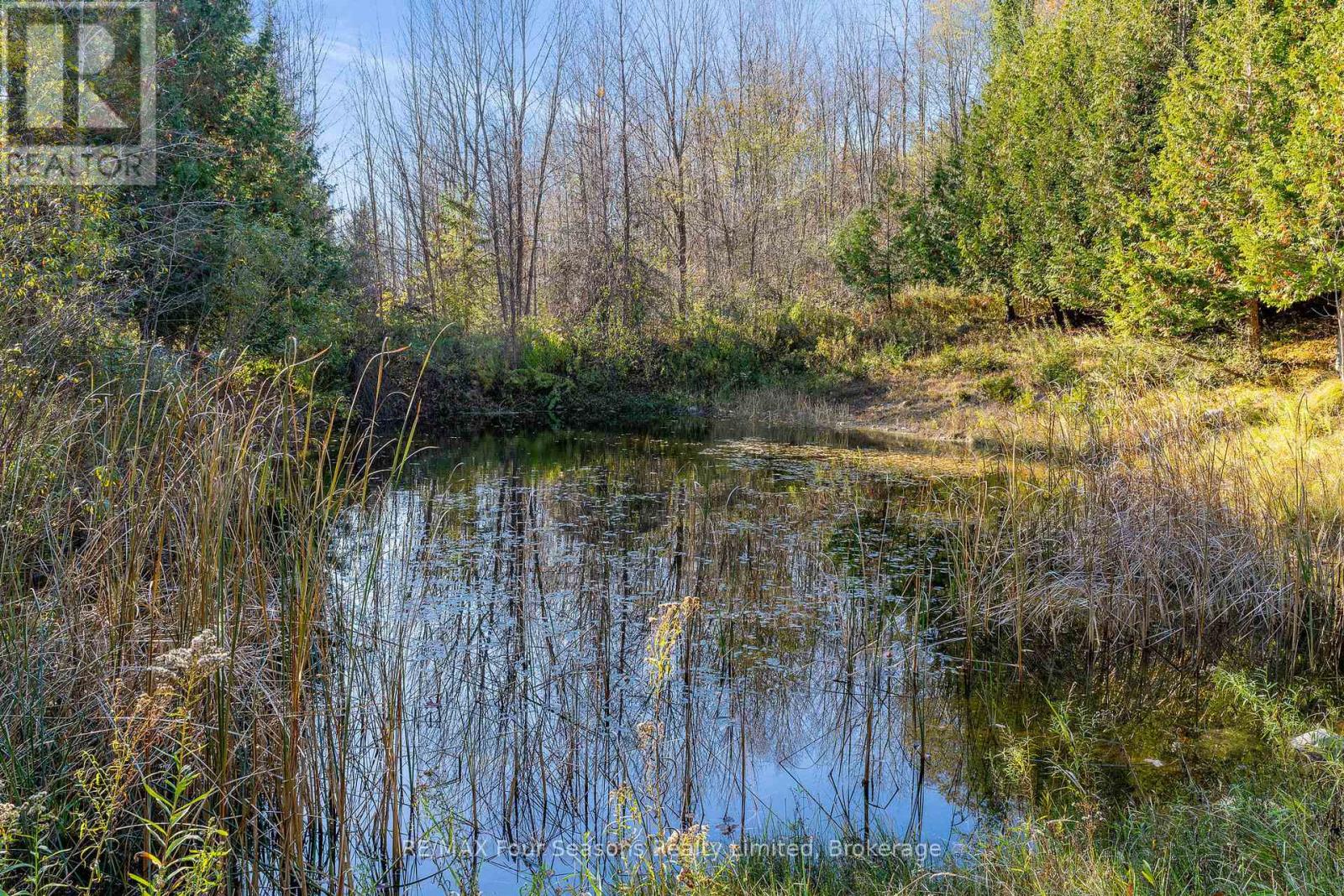 627174 119 Grey Road Property Photo 33