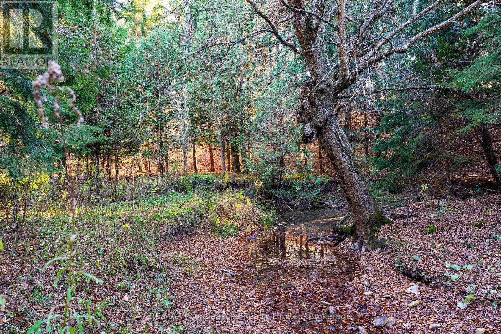 627174 119 Grey Road Property Photo 34