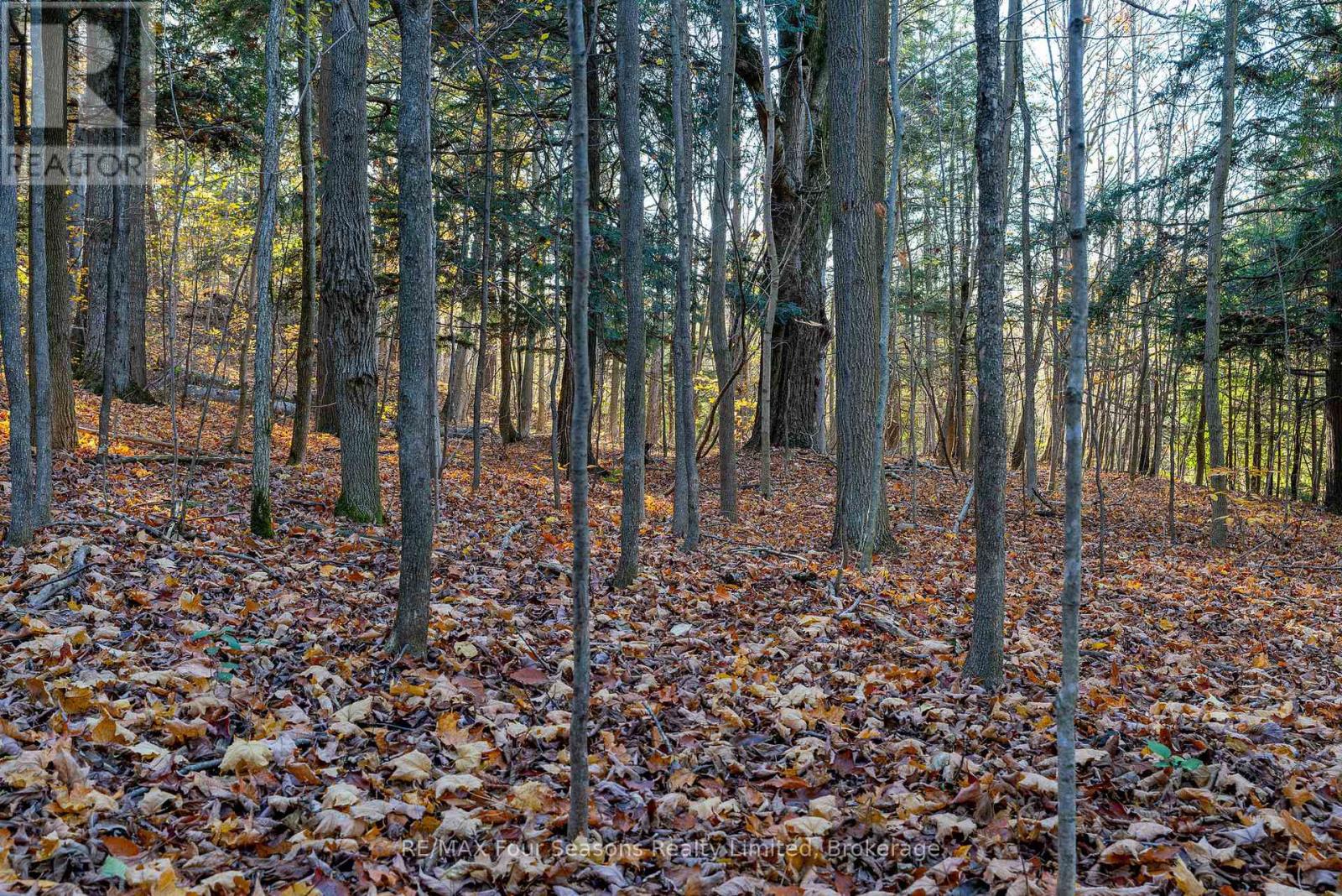 627174 119 Grey Road Property Photo 35