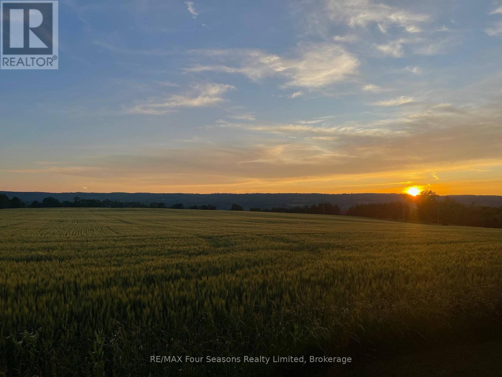 627174 119 Grey Road Property Photo 49