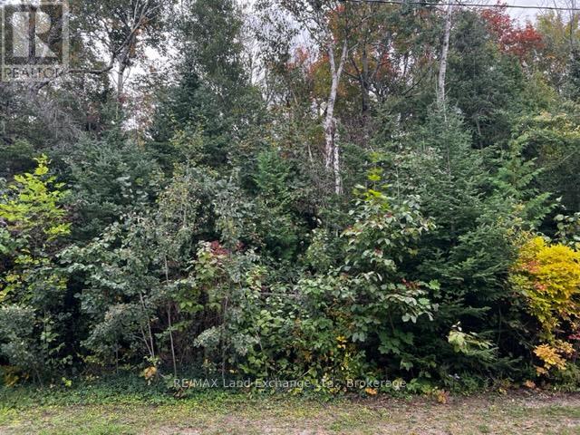 3 SHORE ROAD Property Photo 1