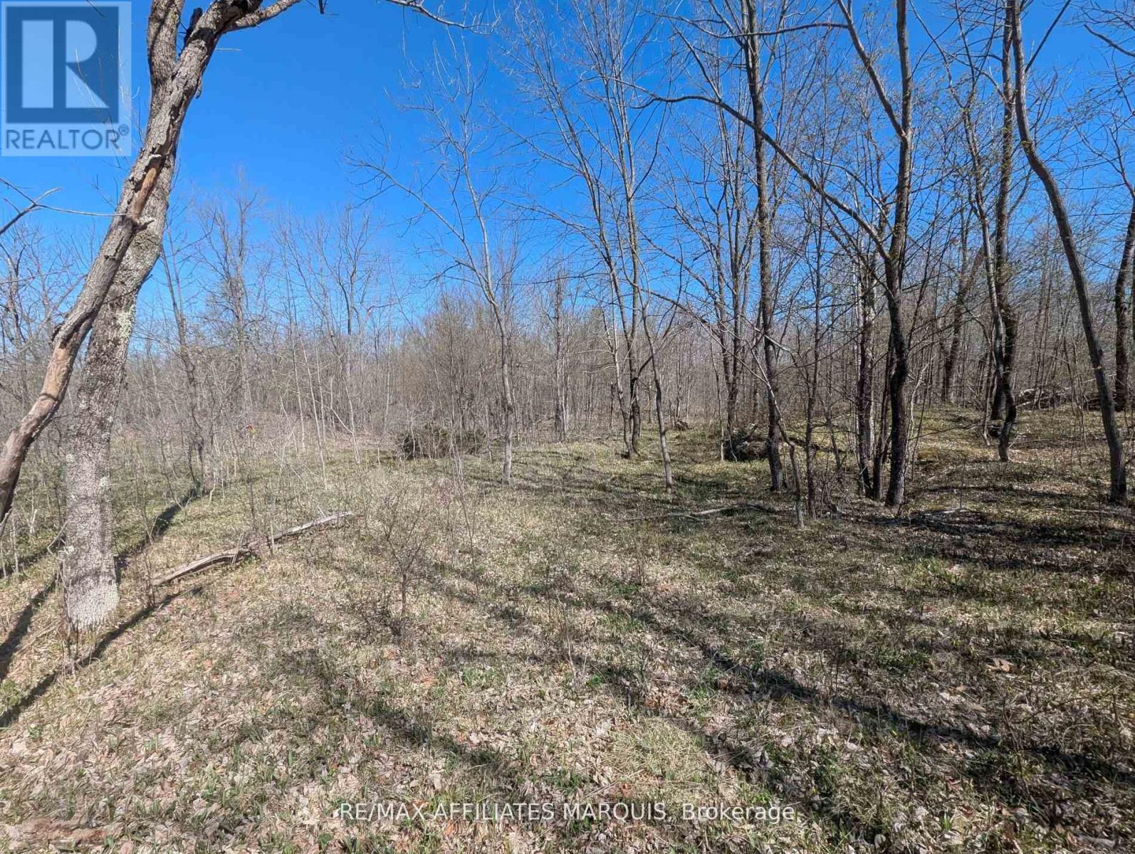 0 LITTLE CROSBY LAKE ROAD Property Photo 1
