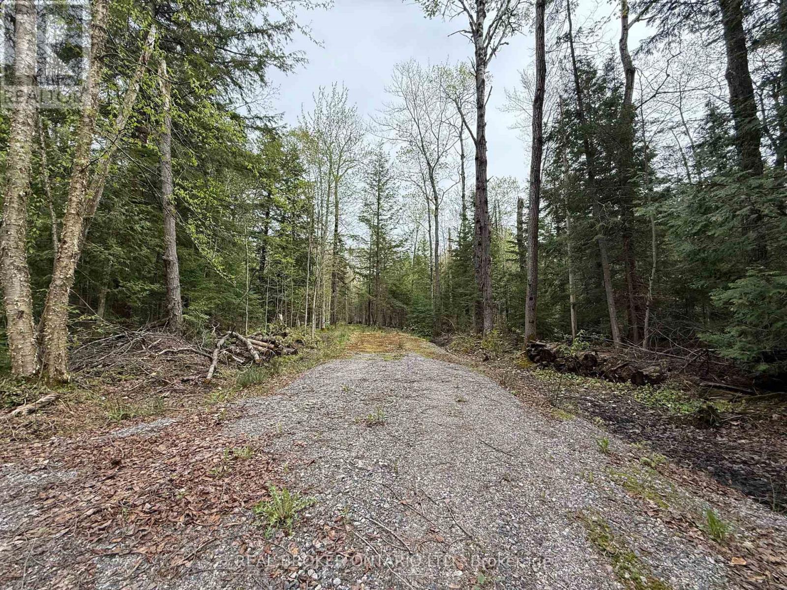 0 Bear Cave Road Property Photo 5