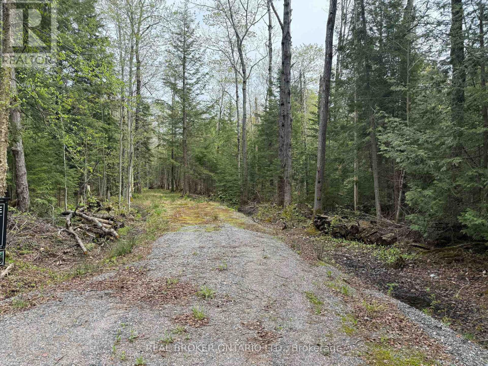 0 Bear Cave Road Property Photo 6