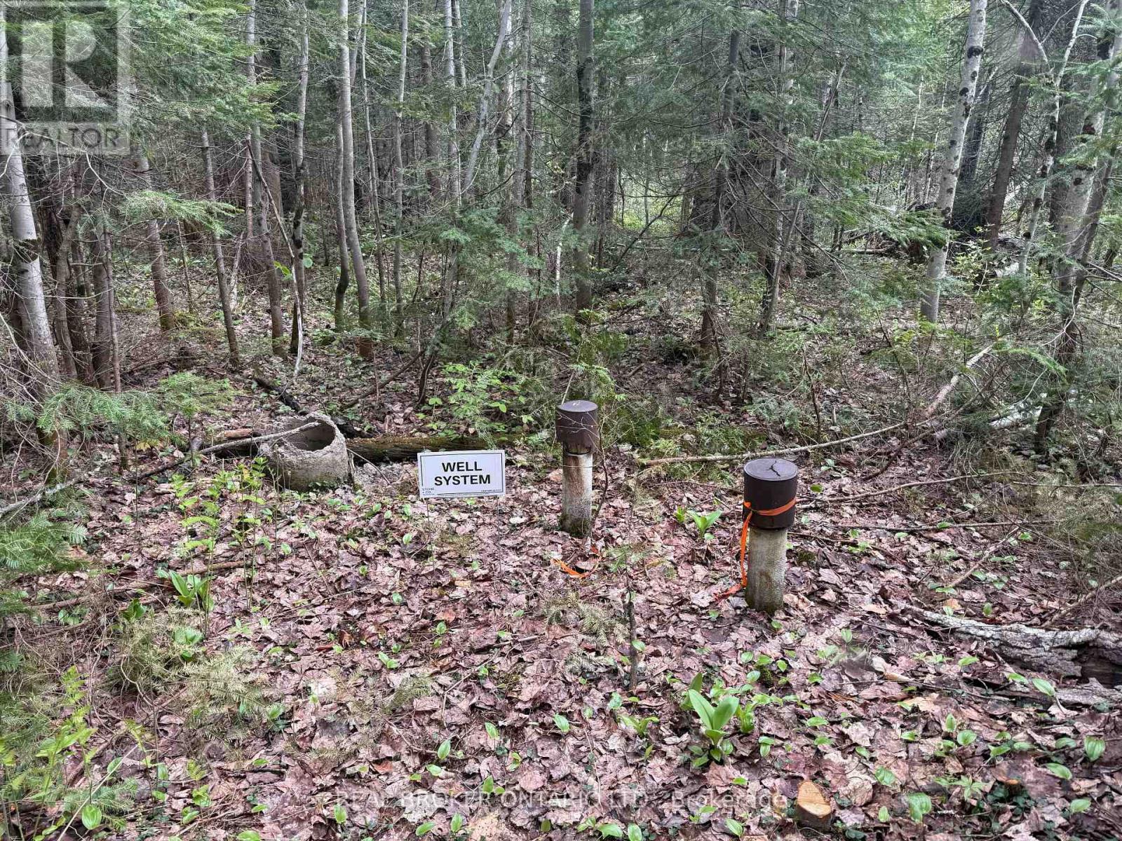 0 Bear Cave Road Property Photo 7
