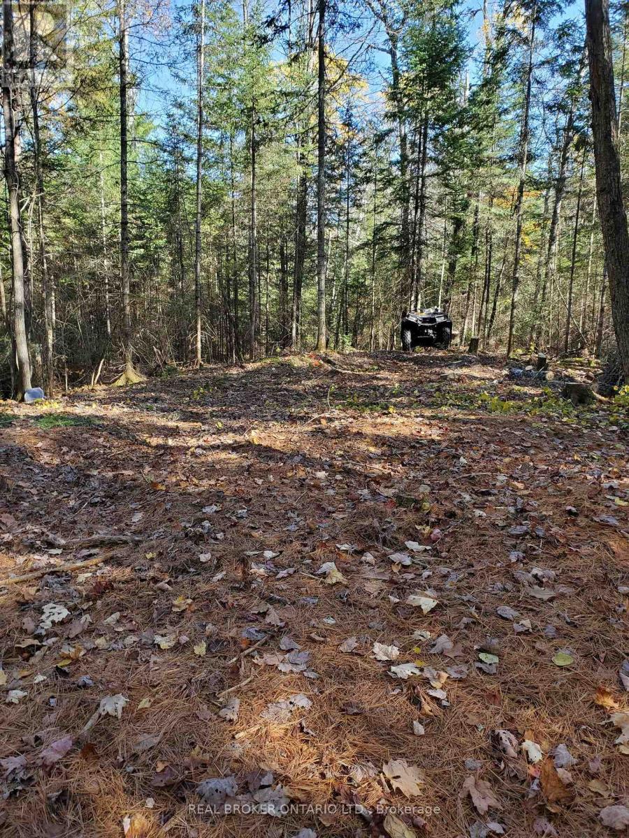 0 Bear Cave Road Property Photo 11