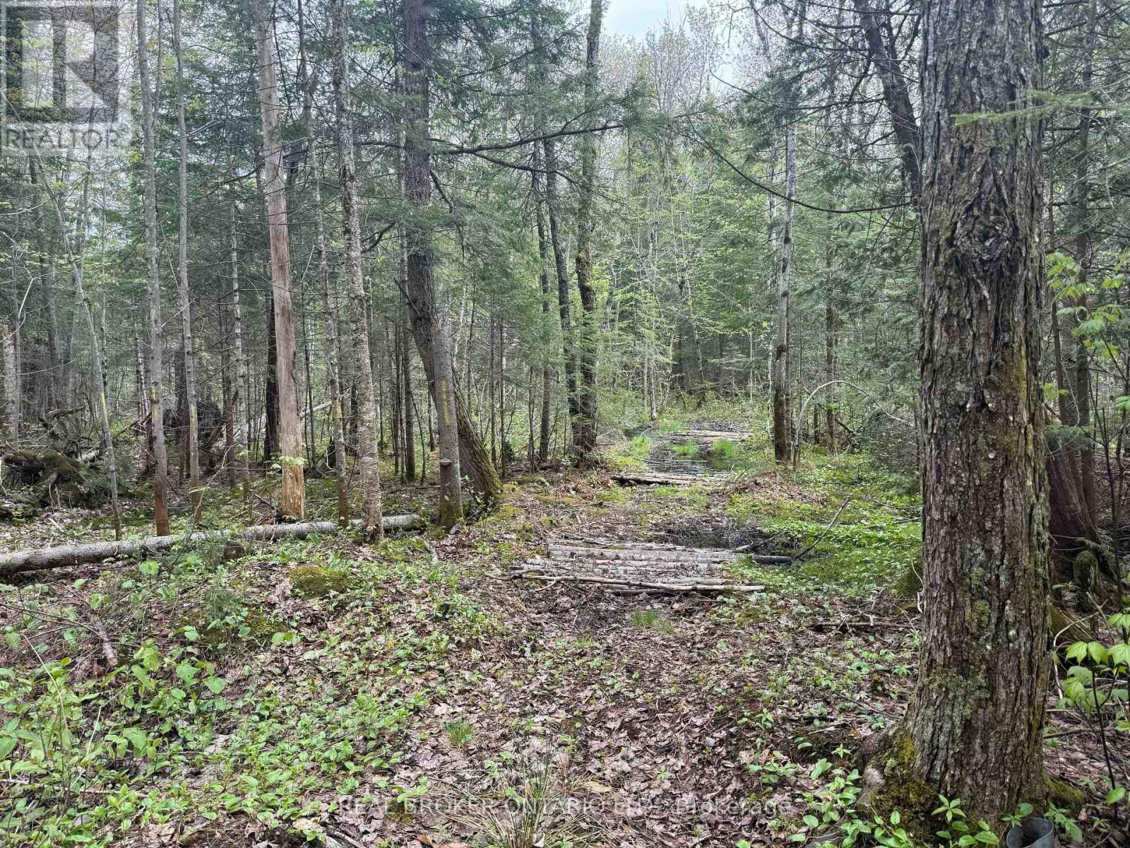0 Bear Cave Road Property Photo 12