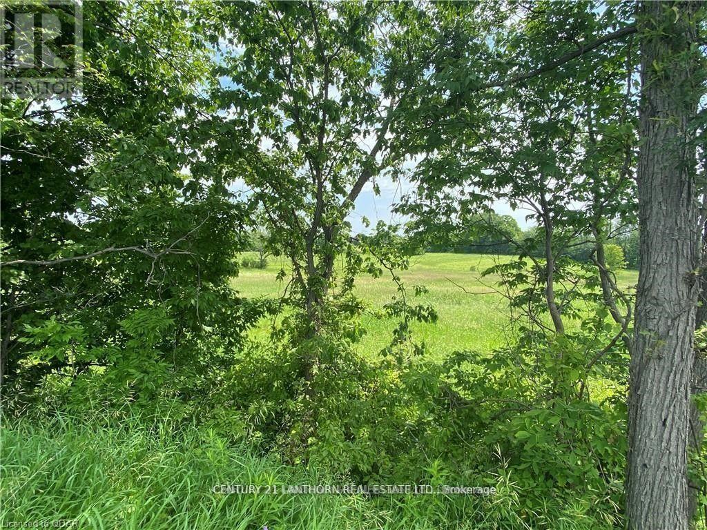 0 Hwy 62 Property Photo 7
