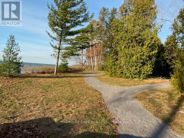 Lot 7 Cedar Shore Trail Property Photo 5