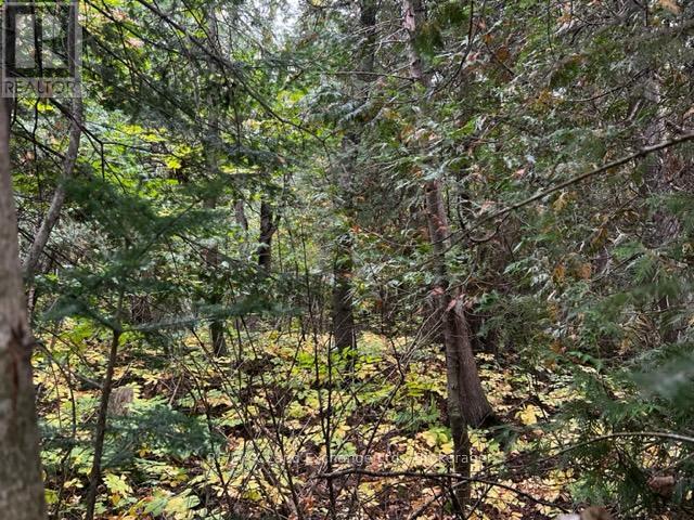 7 Shore Road Property Photo 1