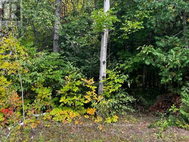 7 Shore Road Property Photo 2