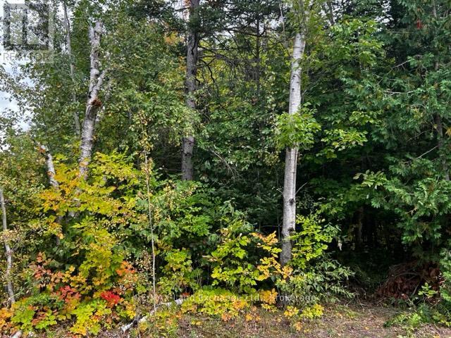 7 Shore Road Property Photo 3