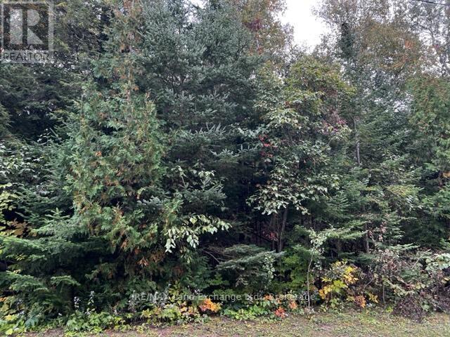 7 Shore Road Property Photo 5
