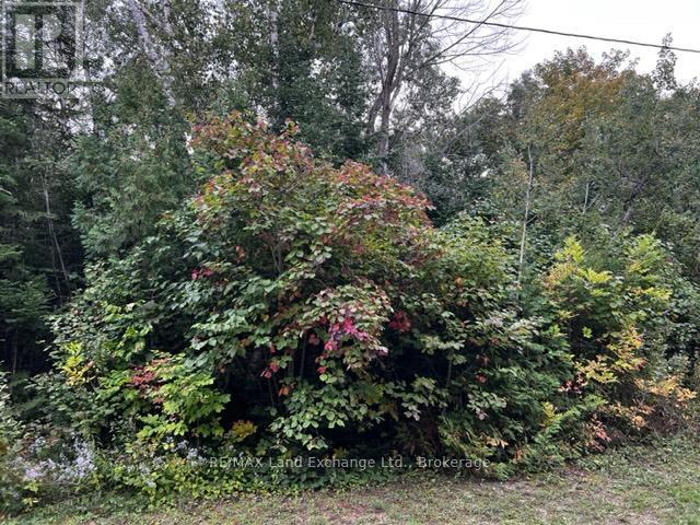 5 SHORE ROAD Property Photo 1