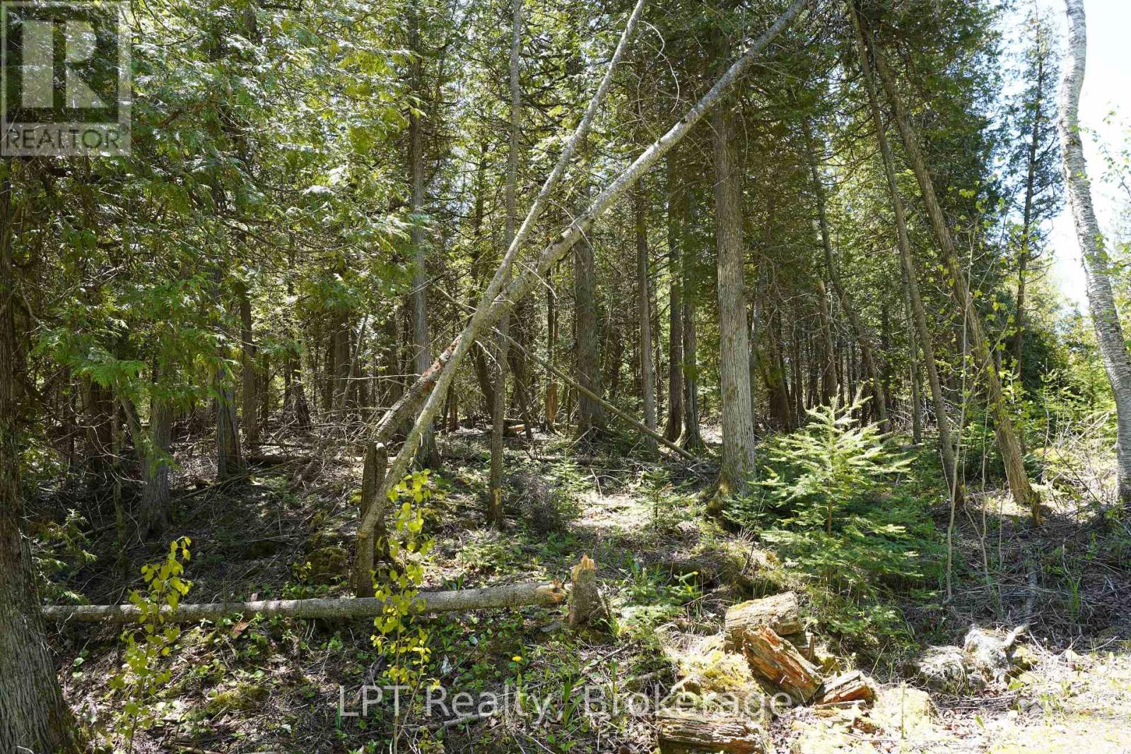 Pt Lt 36 Walter Charman Drive Property Photo 7