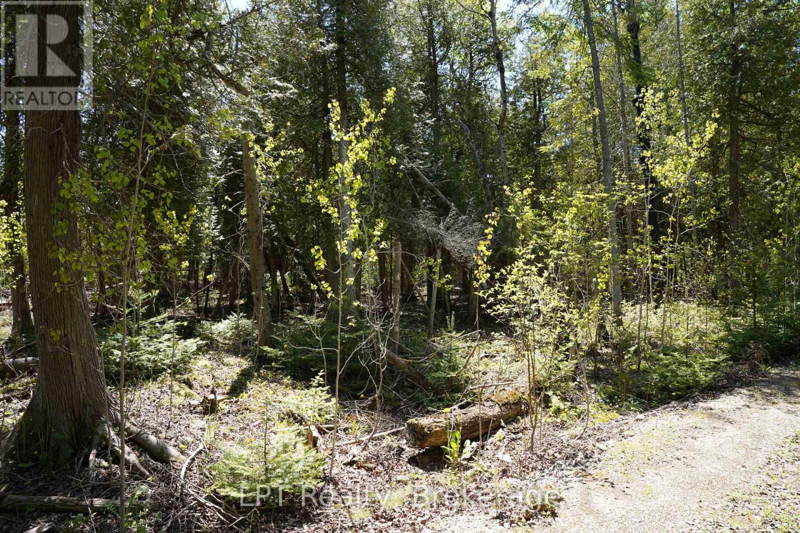 Pt Lt 36 Walter Charman Drive Property Photo 19