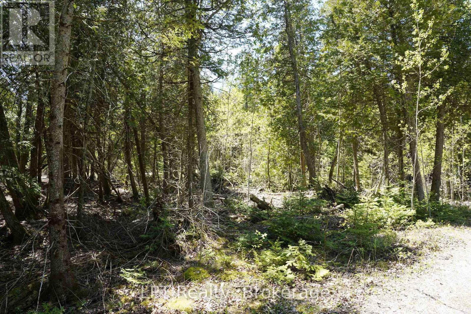 Pt Lt 36 Walter Charman Drive Property Photo 21