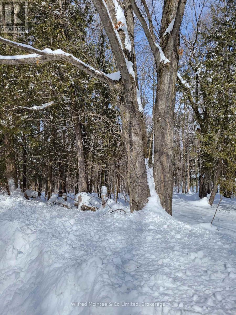 Ptlt 26 Mulock Road Property Photo 2