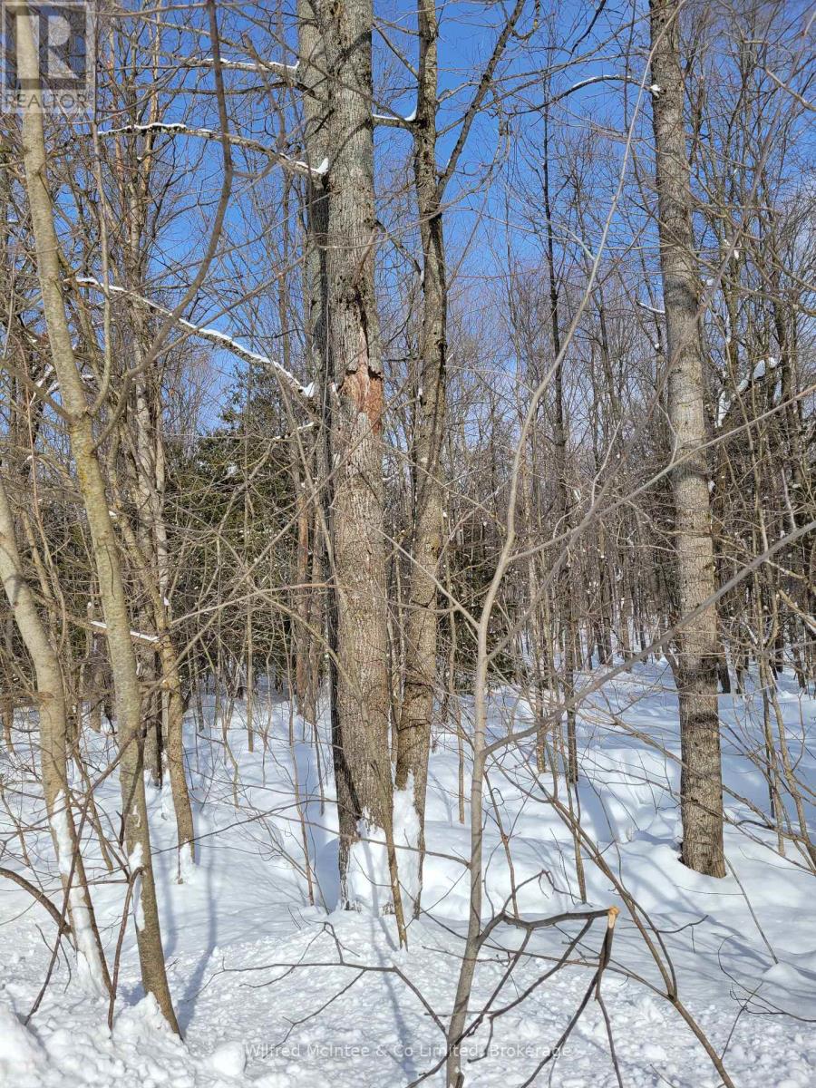 Ptlt 26 Mulock Road Property Photo 3