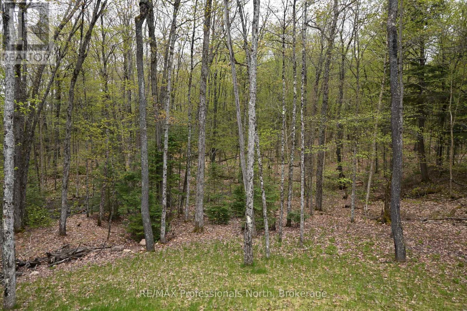 121 Loon Lake Road Property Photo 6