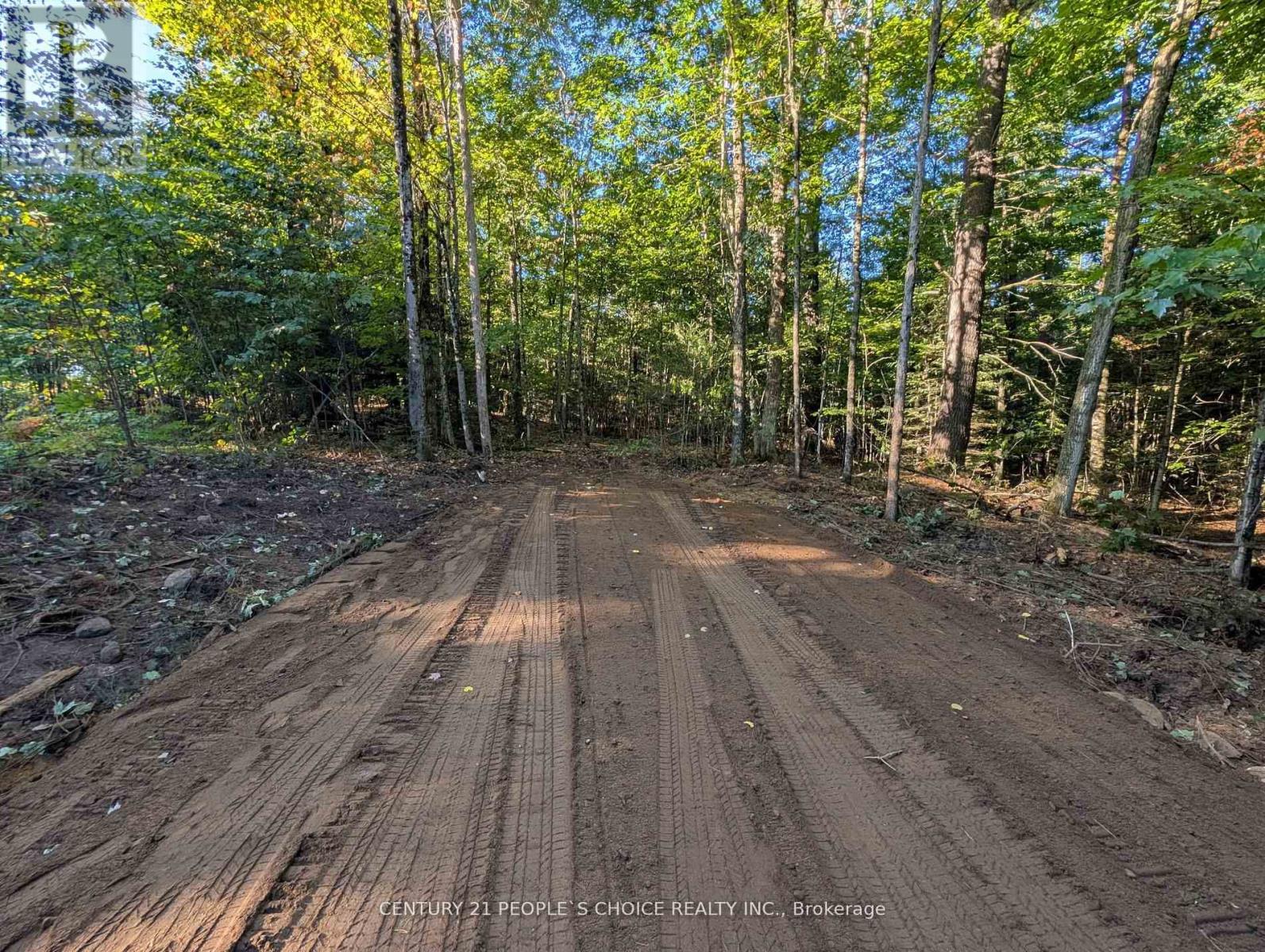 1055 Porkys Road Property Photo 1