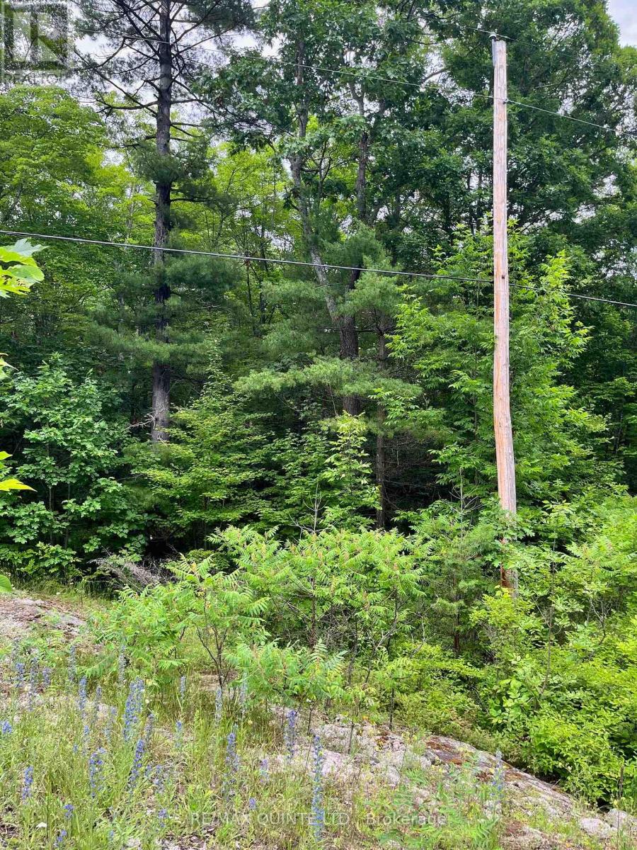 0 (pin - 40264-0091) Potter Settlement Road Property Photo 1