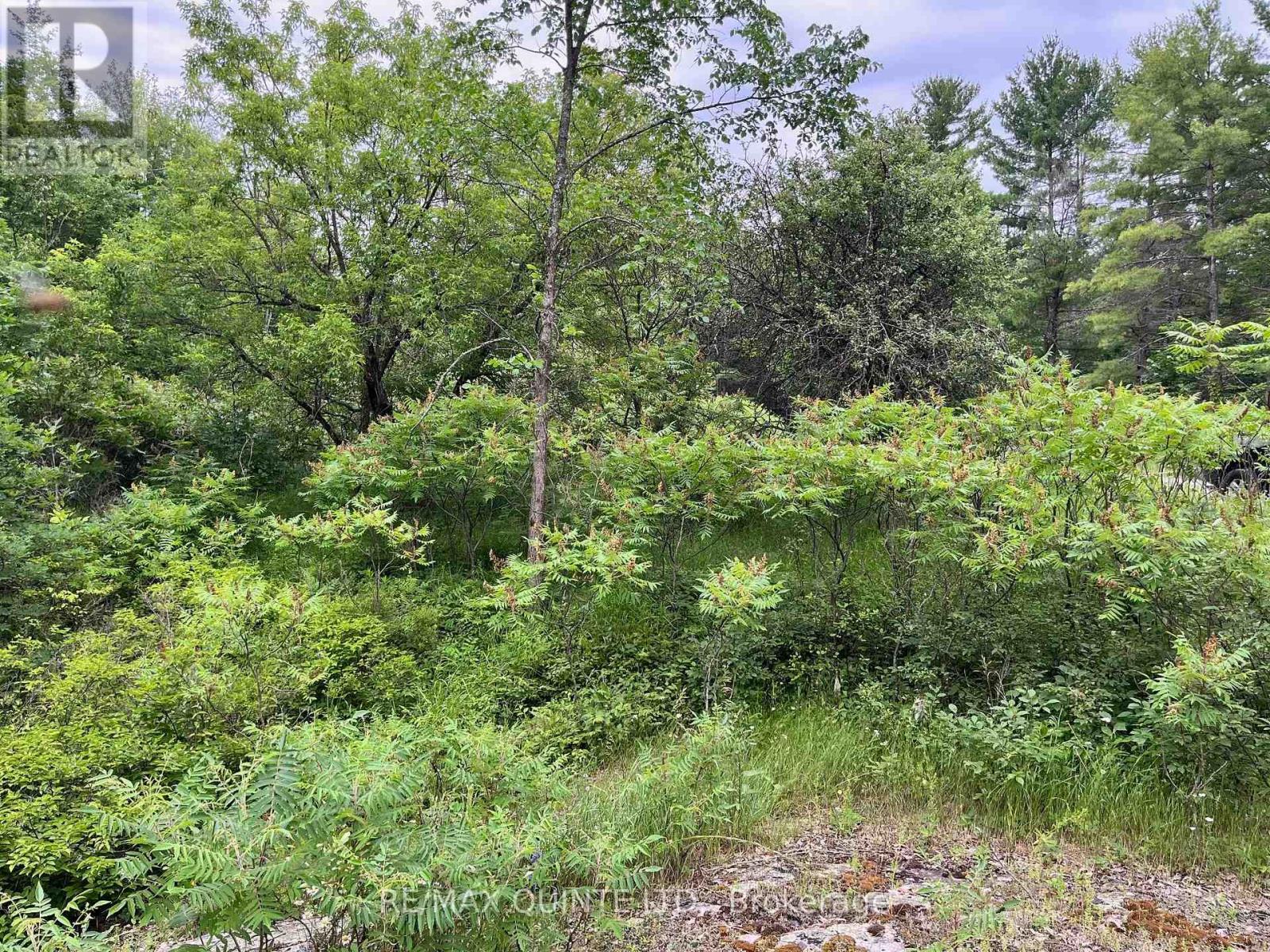 0 (pin - 40264-0091) Potter Settlement Road Property Photo 2