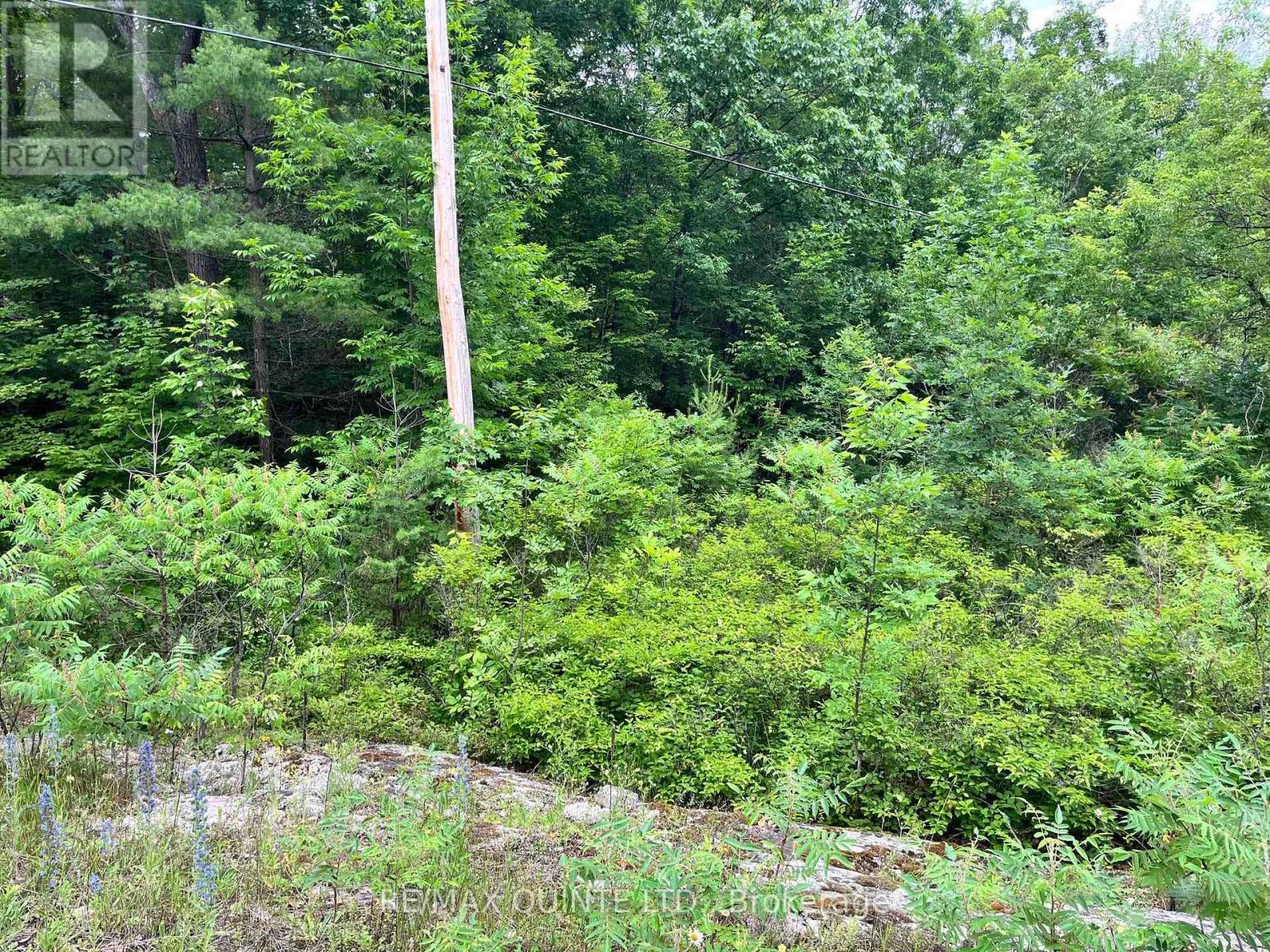 0 (pin - 40264-0091) Potter Settlement Road Property Photo 3