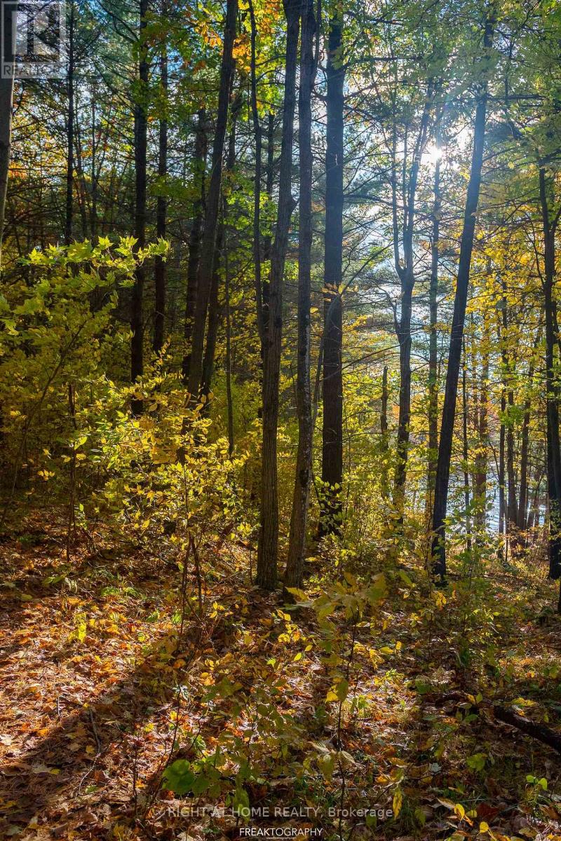 X12706704 Property Photo 1