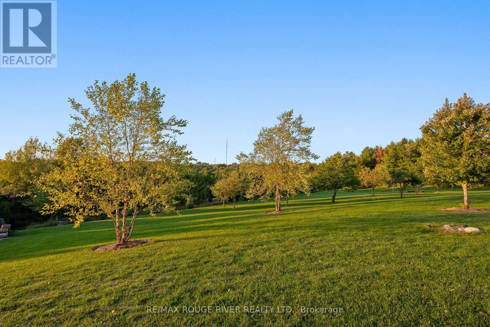 3622 Alnwick Hills Road Property Photo 8