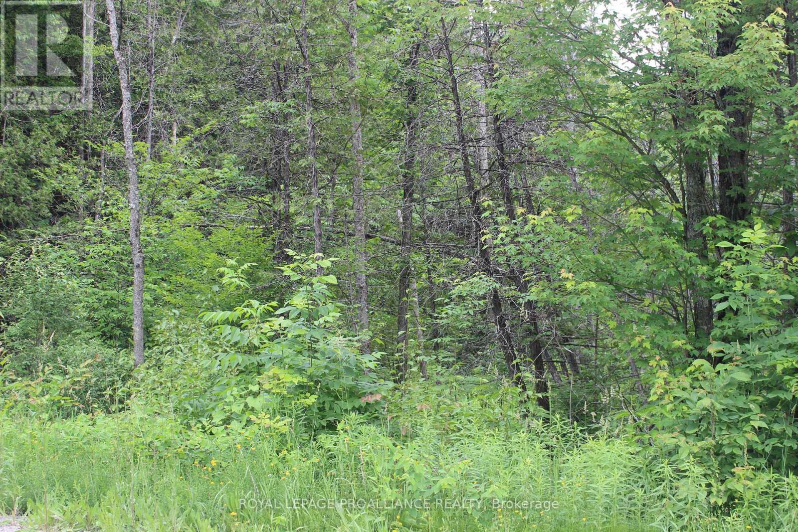 Pt Lt 11 Rcp 2312 Property Photo 3