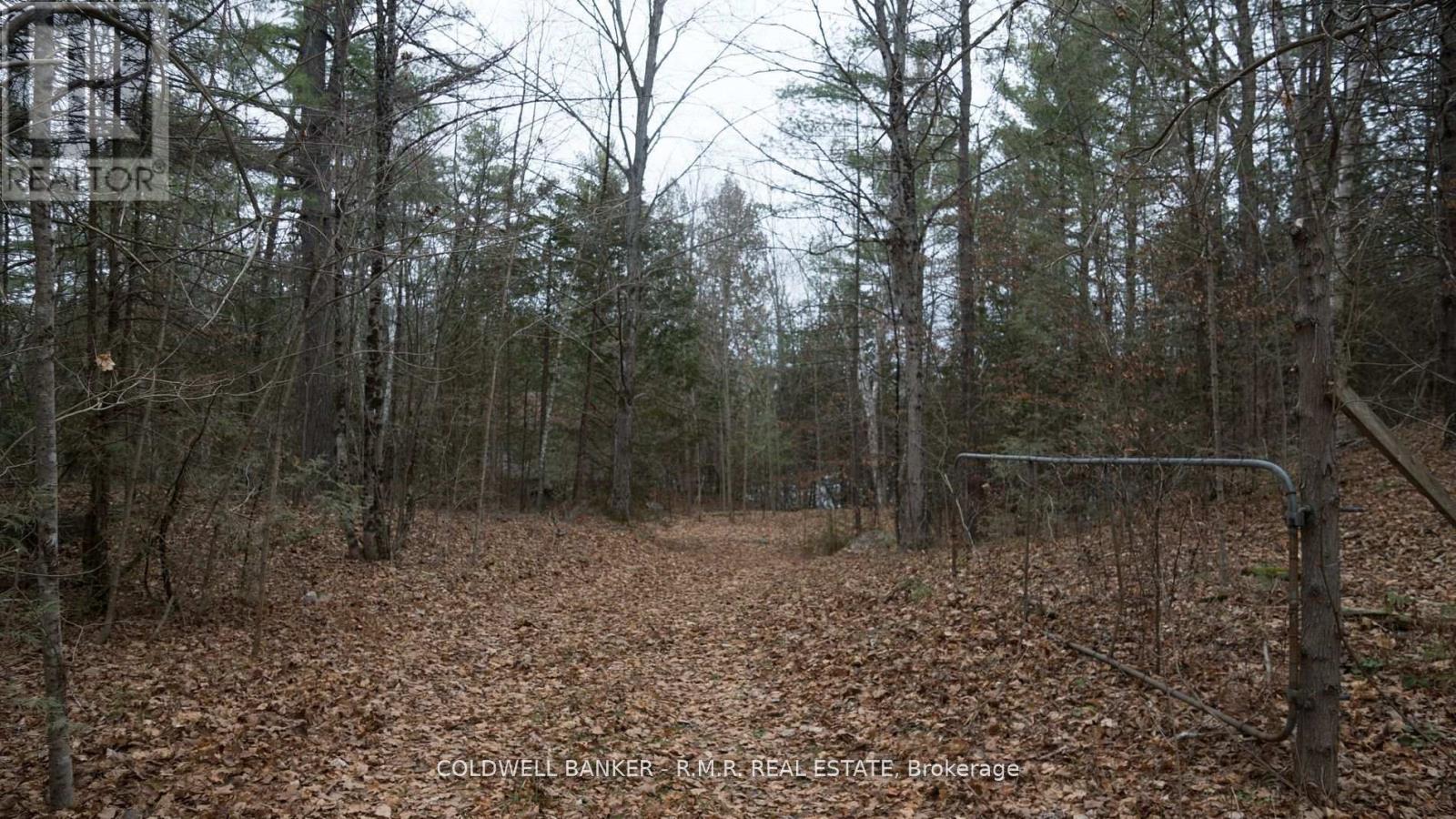 8860 County Rd 41 Property Photo 10
