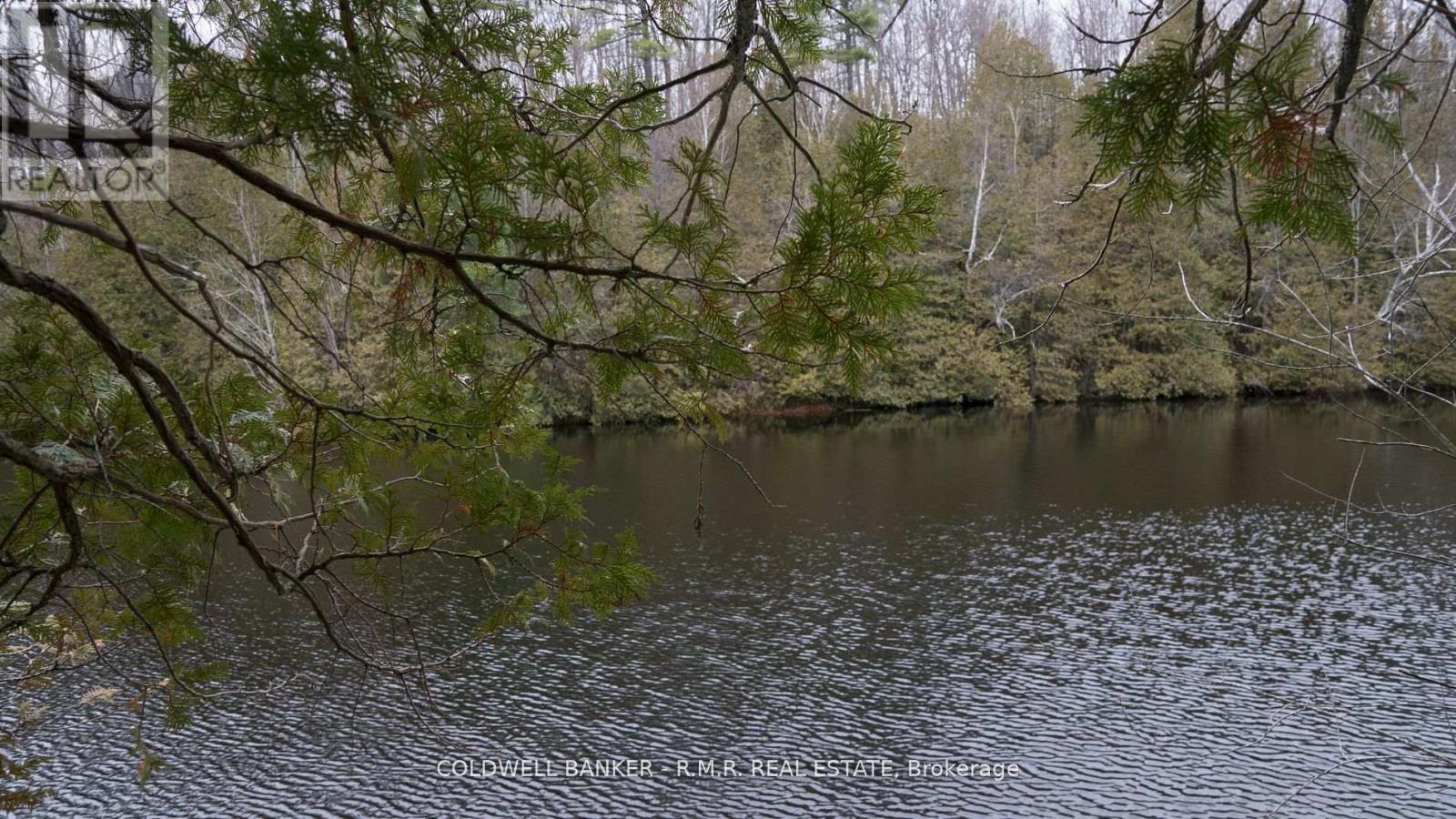 8860 County Rd 41 Property Photo 11