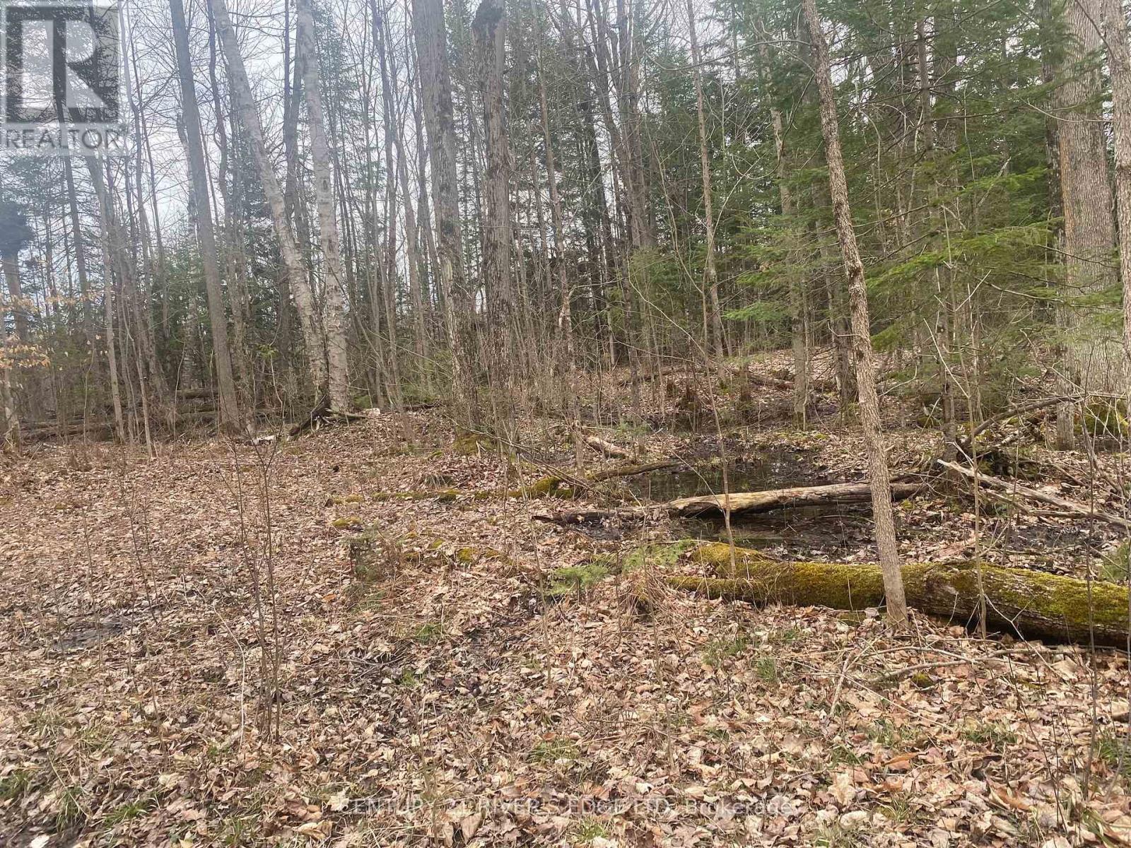00 County Rd 44 Road Property Photo 1