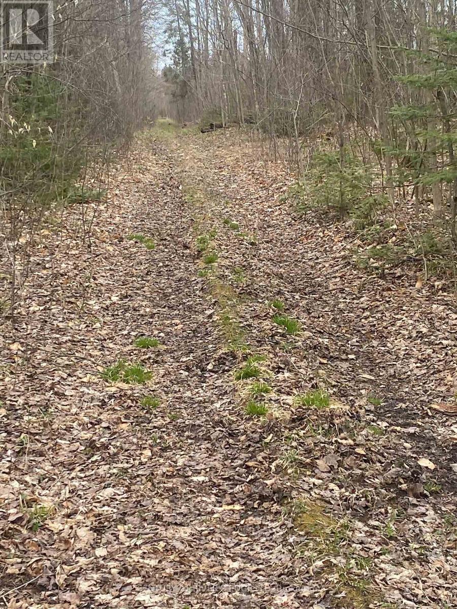 00 County Rd 44 Road Property Photo 2