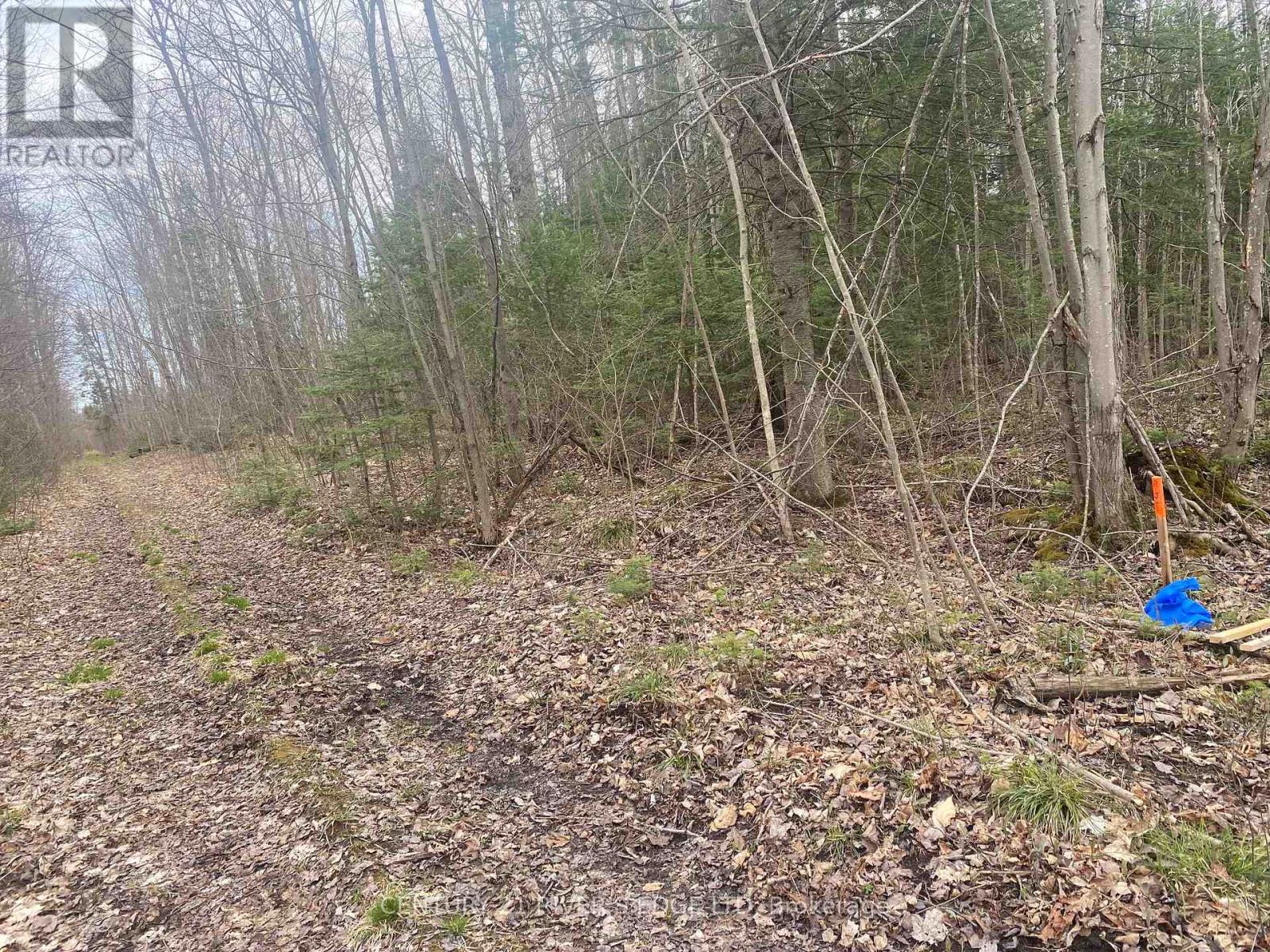 00 County Rd 44 Road Property Photo 3