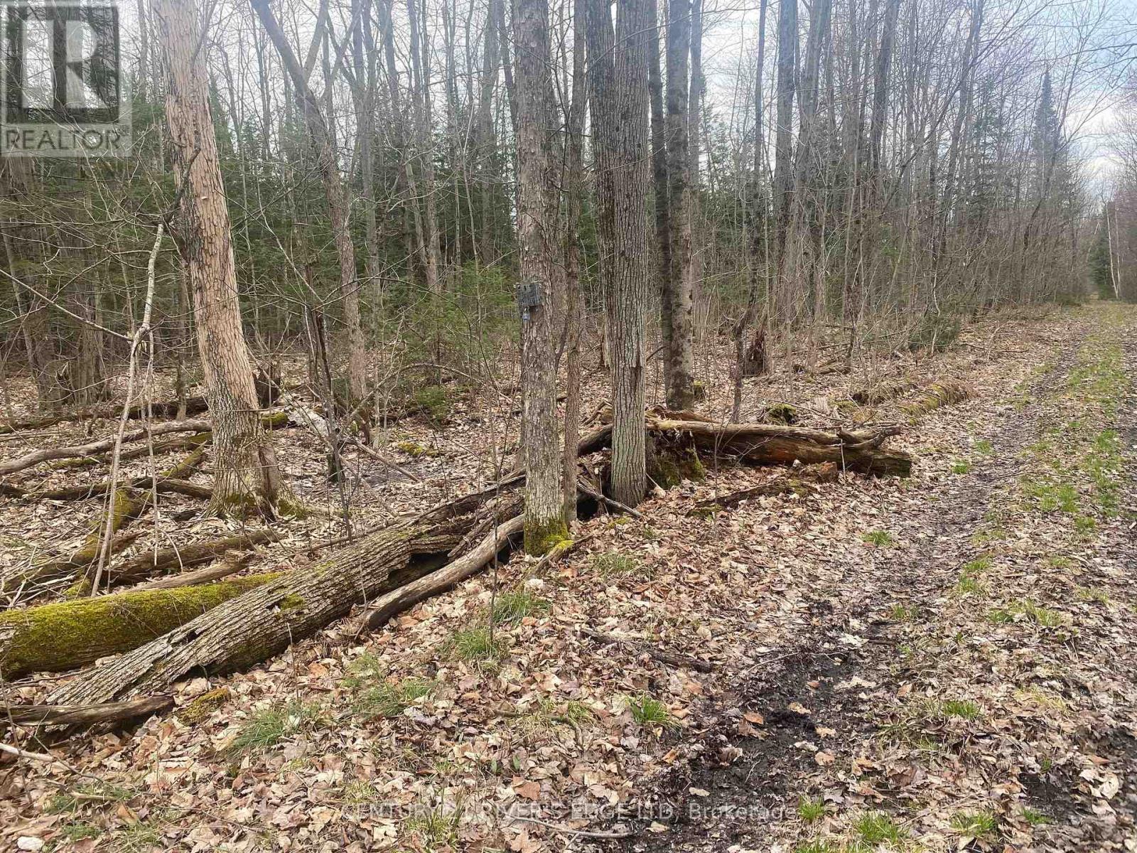00 County Rd 44 Road Property Photo 4