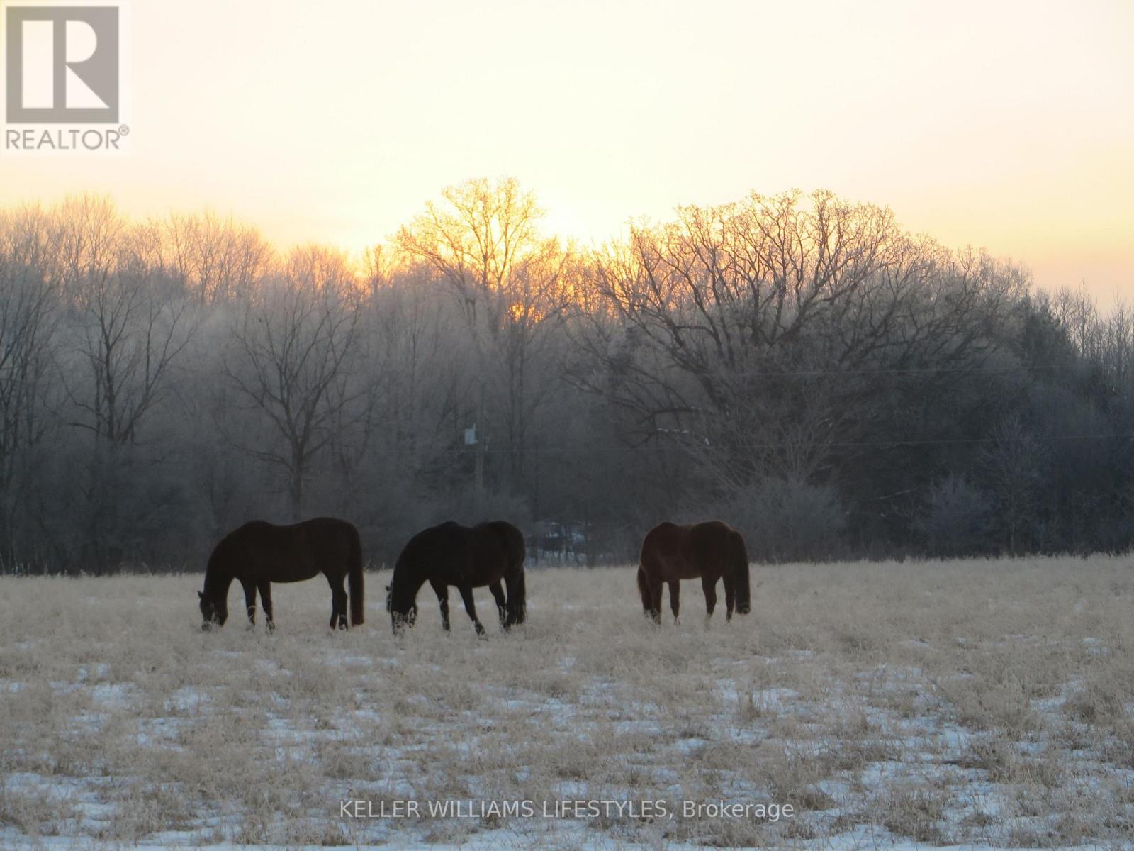 25728 Mcmurchy Line Property Photo 44