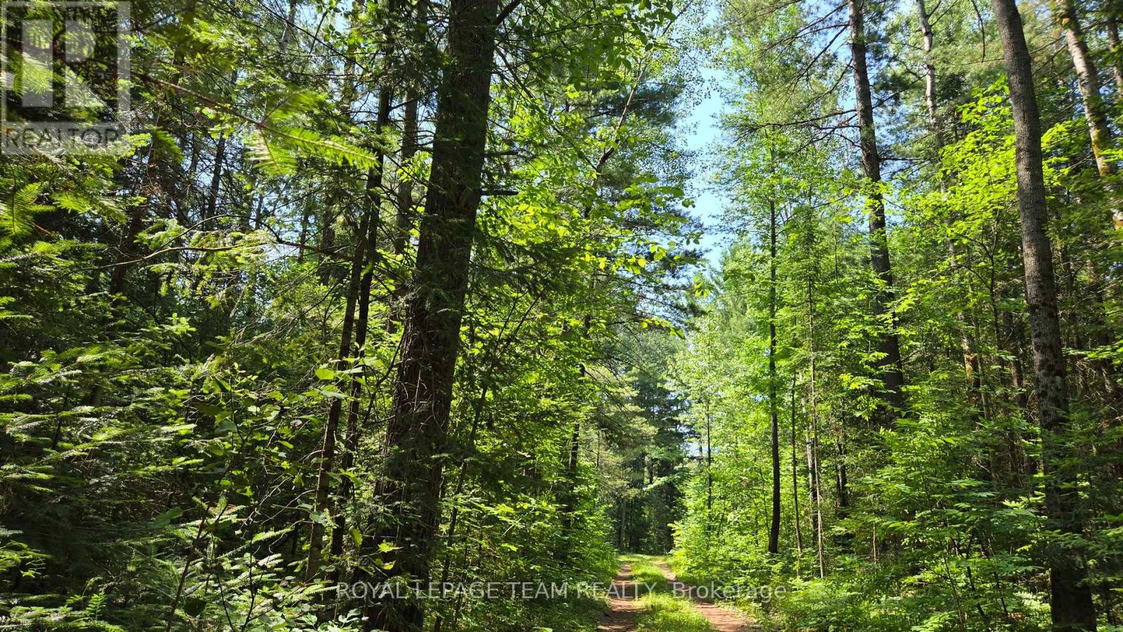 00 (31253) Highway 41 Highway Property Photo 4
