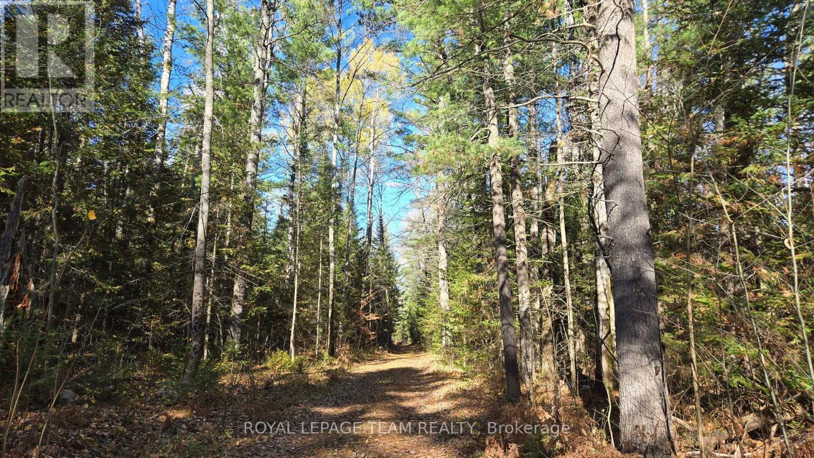 00 (31253) Highway 41 Highway Property Photo 15
