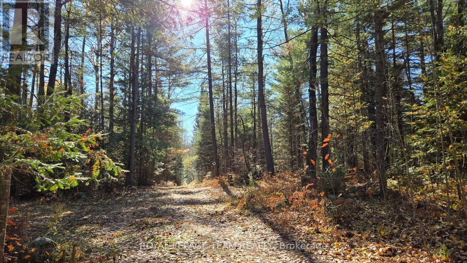 00 (31253) Highway 41 Highway Property Photo 16