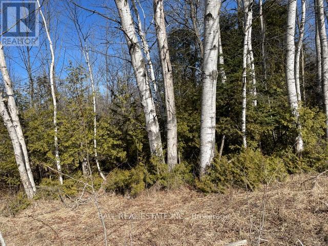 239 Concession 11w Property Photo 34