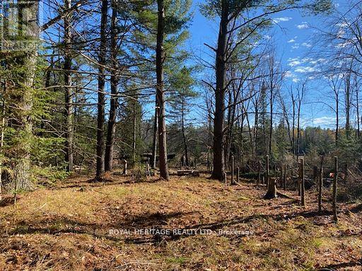 17556 Highway 62 Property Photo 1