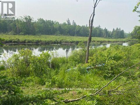17556 Highway 62 Property Photo 4